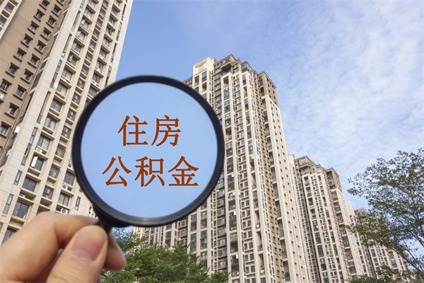公积金还看征信吗吗_涉县公积金代办在职离职封存服务